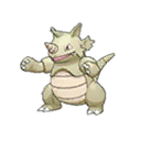 Rhinoféros