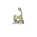 Rattata