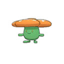 Rafflesia