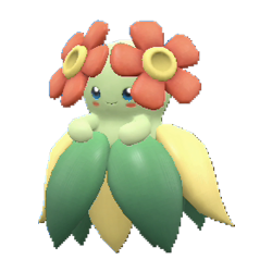 Joliflor