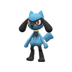 Riolu