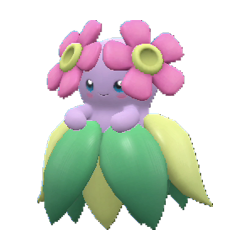 Joliflor