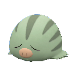 Marcacrin