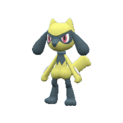 Riolu