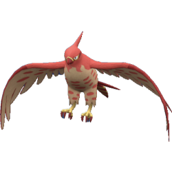 Flambusard