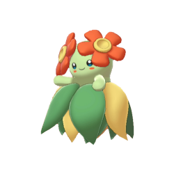 Joliflor