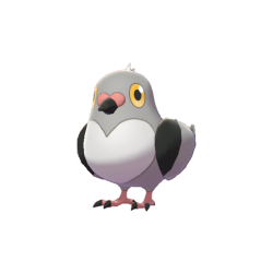 Poichigeon