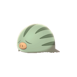 Marcacrin