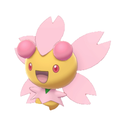 Ceriflor