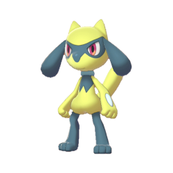 Riolu
