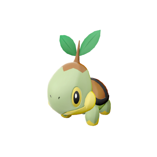 Tortipouss