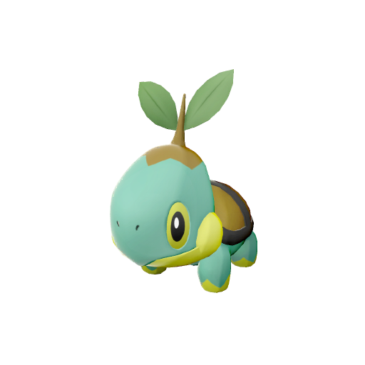 Tortipouss