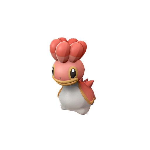 Sancoki