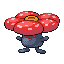 Rafflesia