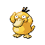 Psykokwak