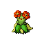 Joliflor