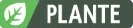 plante