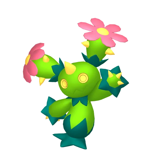 N°0556 - Maracachi