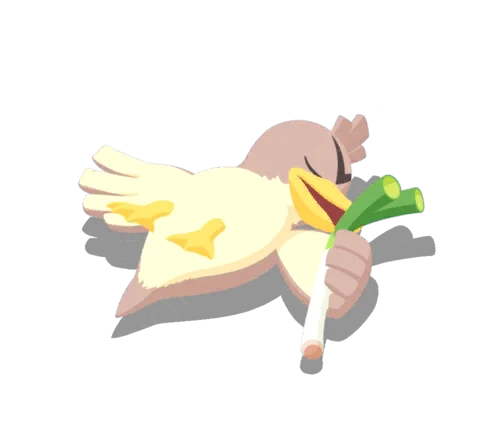 Canarticho