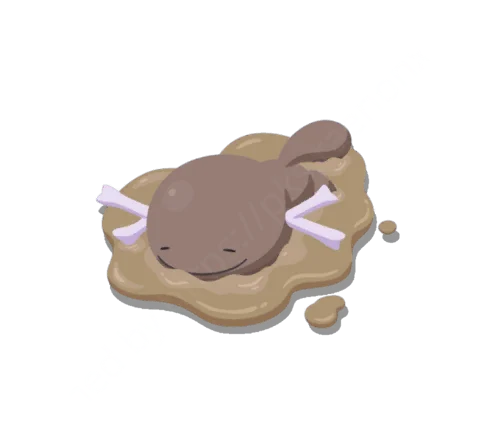 Axoloto (Forme de Paldea)