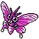 Aéromite Venomoth モルフォン
