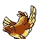 Roucool Pidgey ポッポ