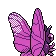 Aéromite Venomoth モルフォン