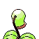 Chétiflor Bellsprout マダツボミ