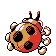 Coxy Ledyba レディバ