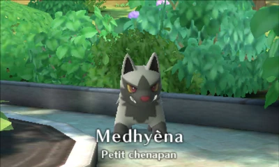 -