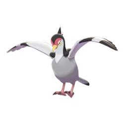 -