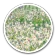 Champ de Fleurs