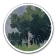 Forêt