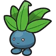 Mystherbe Oddish ナゾノクサ