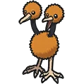 Doduo Doduo ドードー