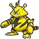 Élektek Electabuzz エレブー