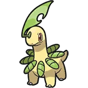 Macronium Bayleef ベイリーフ