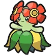 Joliflor Bellossom キレイハナ