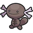 Axoloto