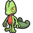 Arcko Treecko キモリ