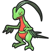 Massko Grovyle ジュプトル