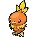 Poussifeu Torchic アチャモ