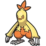 Galifeu Combusken ワカシャモ