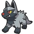 Medhyèna Poochyena ポチエナ