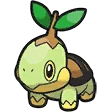 Tortipouss Turtwig ナエトル