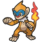 Chimpenfeu Monferno モウカザル
