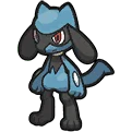 Riolu - Riolu - リオル