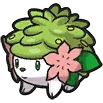 Shaymin - Forme Terrestre Shaymin シェイミ