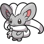 Pashmilla Cinccino チラチーノ