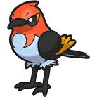 Braisillon - Fletchinder - ヒノヤコマ